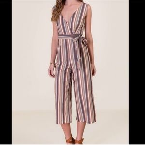 Francesca's Striped Jumpsuit